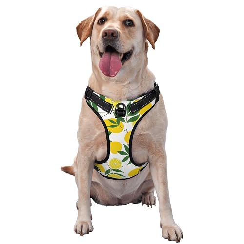 Arnés antitirones para Perros, Color Amarillo limón, con Clip Frontal y asa de fácil Control para Caminar