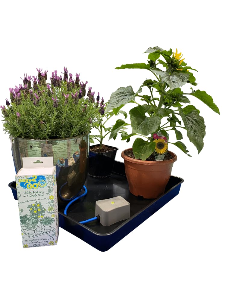 AutoPot AP400 Easy2GO Urlaubsbewässerungsset, Blau