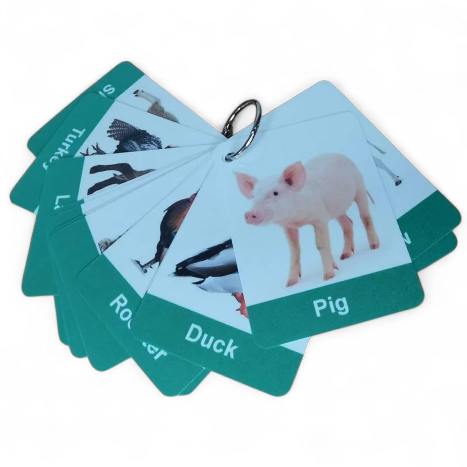 Farm Animals Flashcards with Real Images – Set of 16 | Montessori Animal Picture Word Cards for Toddlers & Kids | Laminated, Tear-Proof, Wipeable, Includes Binding Ring
