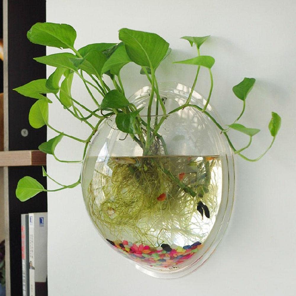 SANSEFERO® Wall Hanging Fish Bowl Acrylic (not Glass) 15 inch Size with Free Stones White Colour (15 inch) (B0BD8P2BSC) Amazon Price History, Amazon Price Tracker