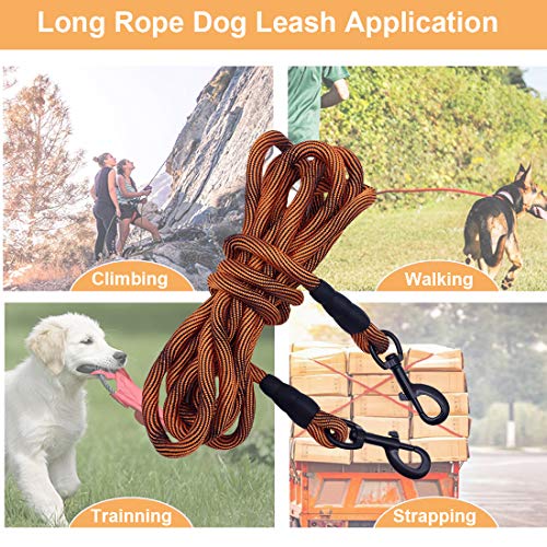 Best Dog TieOuts & Stakes Buying Guide Gistgear