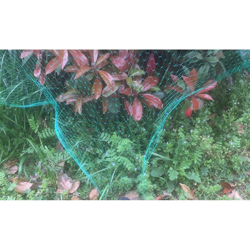 3 Size Anti Bird Net Netting Mesh Protection Plants Veg Crops Garden 2x5m Yard, Garden & Outdoor Living | Gardening Supplies | Weed & Pest Control | Protective Netting/Mesh-image-16