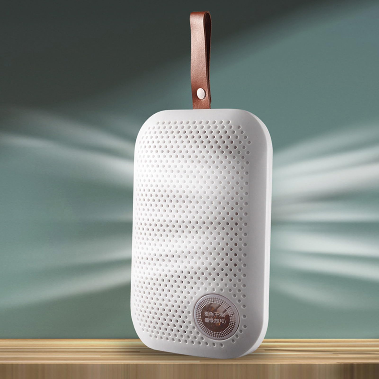 Deumidificatore Assorbitore Di Umidità | Portatile e Silenzioso con Cordoncino per Interni Armadio Guardaroba Soggiorno e Mobile