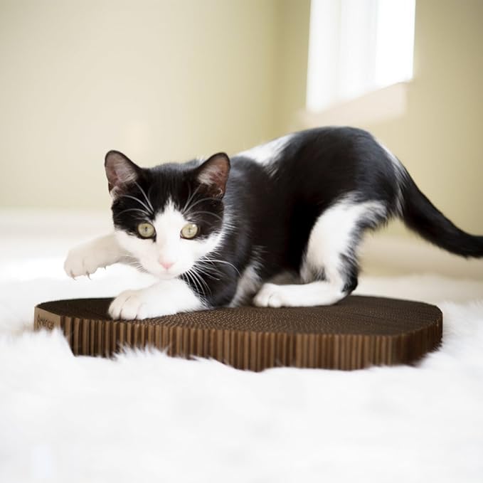 cat scratching cardboard block