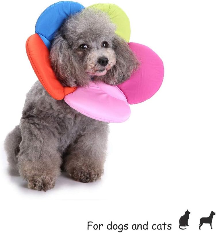 Oncpcare Pet Dog Recovery Collar Anti Licked Scratched Bite Nursing Care Elizabethan Collar for Dogs and Cats 7 619hqfpESrL. AC SL1000