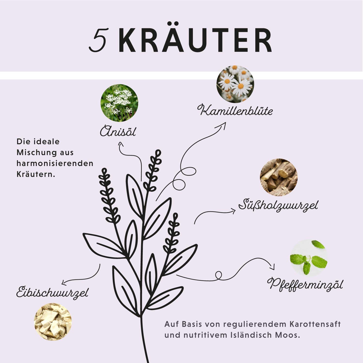 Annimally Magen Darm Liquid Pferd 1000ml - Gastro Colon Vital zur Unterstützung der Verdauung zum Beispiel bei Kotwasser - Natürliche Magen Kräuter für Pferde