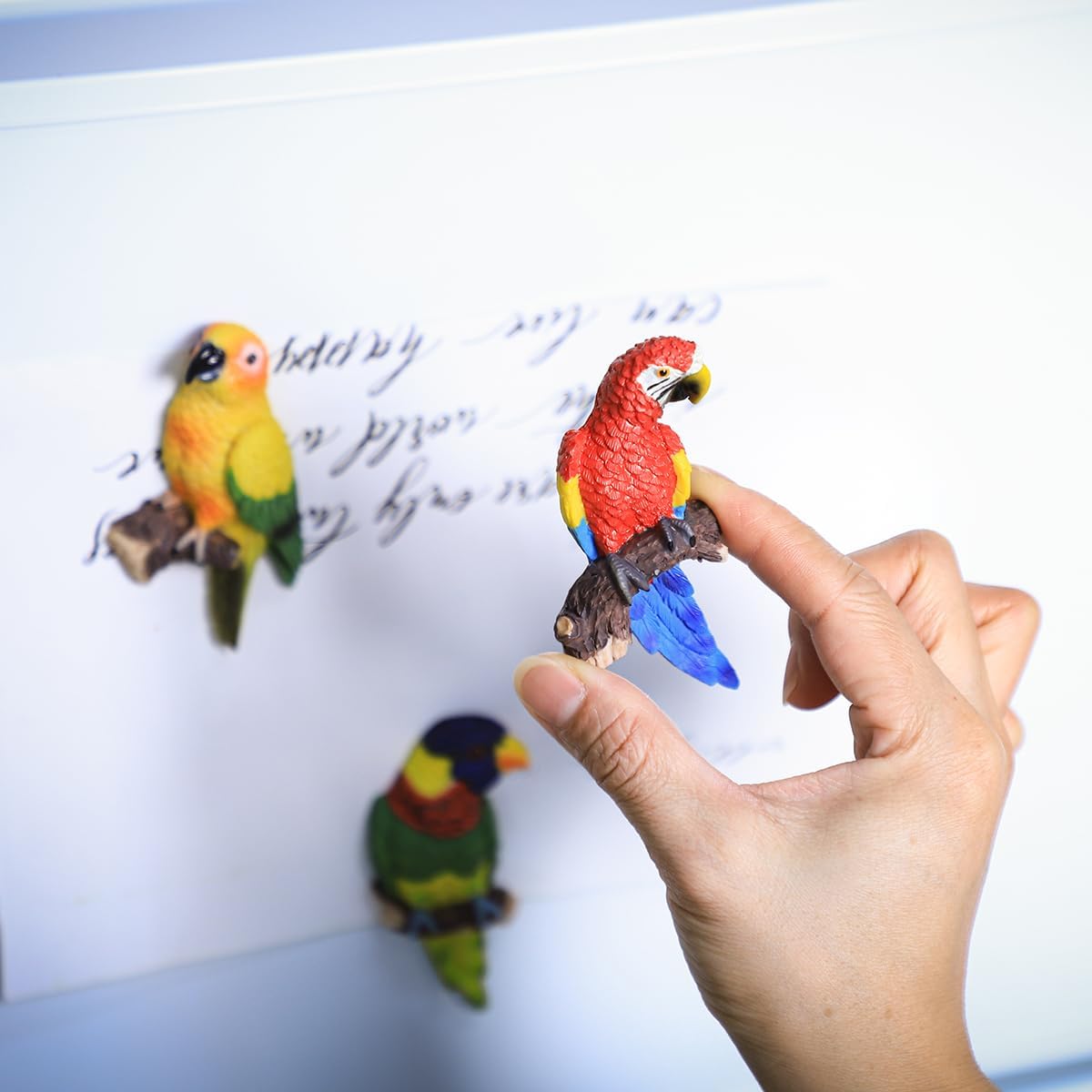 5 PCS Parrot Magnets for Fridge Refrigerator Magnets Locker Magnets for Office Cabinets Whiteboards Classroom image 4