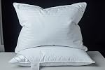 Goose Feather Blend with Polyester Bed Pillows 100% Cotton, Medium Soft Soft Support Standard Pack of 1, Stripe White