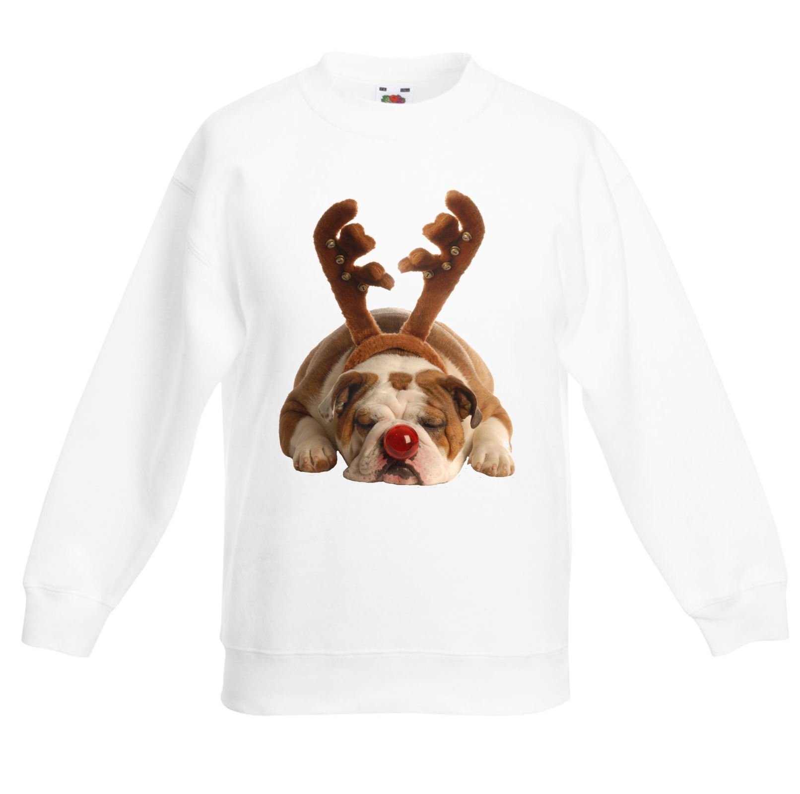 Tribal T-Shirts Boys Bulldog Rudolph Reindeer Cute Christmas (Age 14 to 15, White)