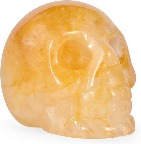 Miniatura 10 de Artistone Figura decorativa de calavera de dragón de 2.0 pulgadas, decoración de calavera de Halloween, cristales y piedras curativas, estatua