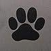 Bone Dry Pet Storage Collection Collapsible Bin, Medium Rectangle, Gray