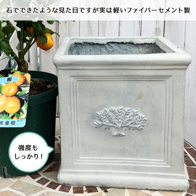 ファイバーセメントポット　Sandringham　サンドリンハム ファイバーセメントポット ホワイト系 ファーンプラントデザイン