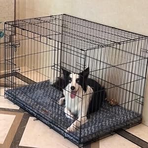   Western-Home-Dog-Crate-Bed-for-Small-Medium-Large-Extra-Large-DogsCats-for-303642-inch-Crate-Pad-Dog-Beds-for-Sleeping-Play-Pet-Bed-Washable-and-Bottom-Anti-Slip-Thin-Dog-Pad-Crate-Mat