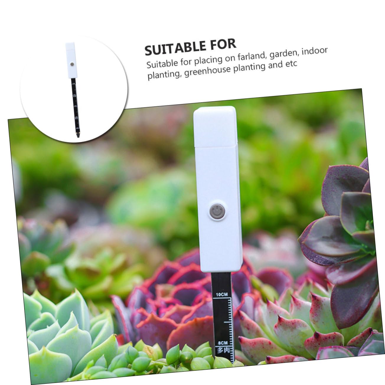 BESPORTBLE 3 Pièces Détection De L'humidité du Sol Usine Mètre Médite De Jardin Capteur pour Numérique Compteur De Sol Détecteur D'humidité Testeur De Sol De Jardinage Le Fer Blanche