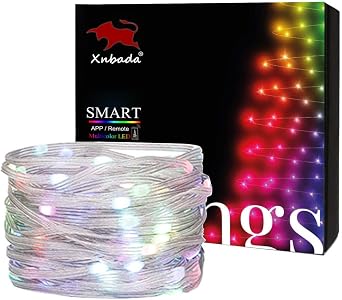 32.8FT WS2812B RGB Addressable Transparent Wire Fairy Lights,Waterproof Dream Color Christmas String Lights for Party,Indoor Outdoor Decor,Christmas Tree,DC5V