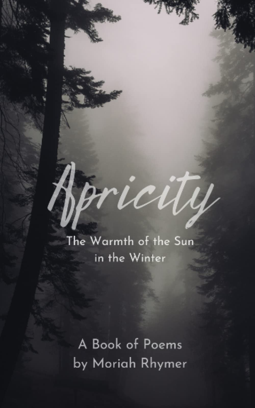 Apricity: The Warmth of the Sun in the Winter