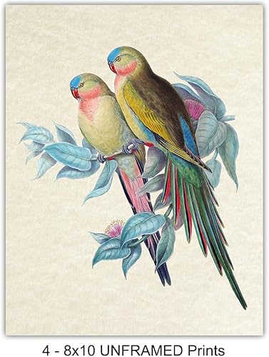 Miniatura 4 de Bird Wall Art - Bird Wall Decor - Tropical Wall Decor - Tropical Birds - Parrot Decorations - Parakeet, Cockatoo, Lovebird, Toucan Wall Art -