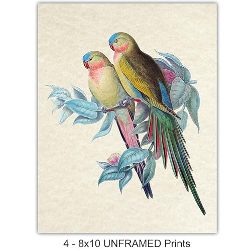 Miniatura 4 de Bird Wall Art - Bird Wall Decor - Tropical Wall Decor - Tropical Birds - Parrot Decorations - Parakeet, Cockatoo, Lovebird, Toucan Wall Art -