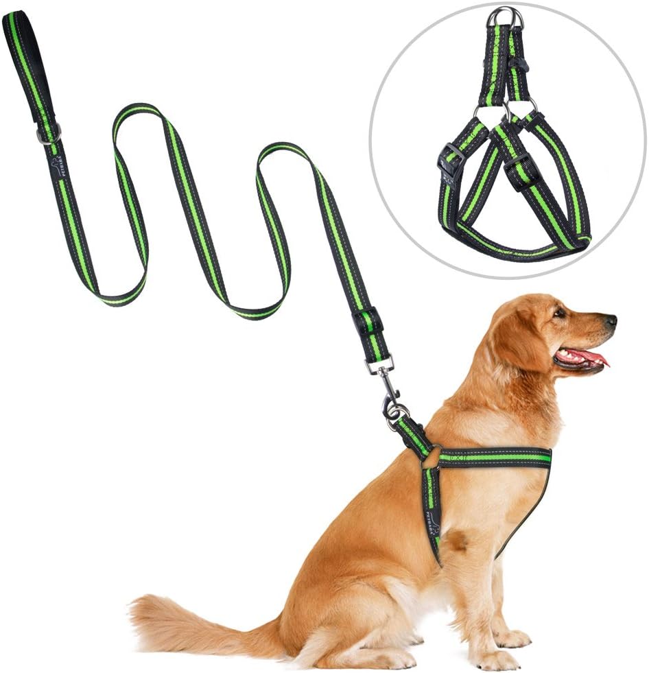 PETBABA Step-in Dog Harness Leash, Reflective Safe at Night Walking, Soft Chest Vest with Quick Release Clip to Train Your Pet