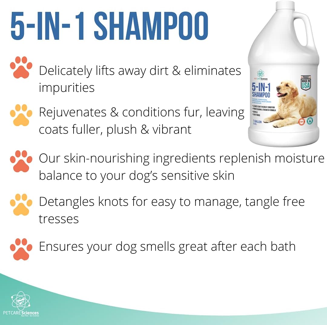 Whats The Best Dog Shampoo For Smelly Dogs