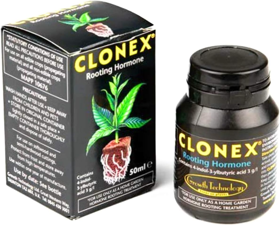 ormone della crescita per i bambini