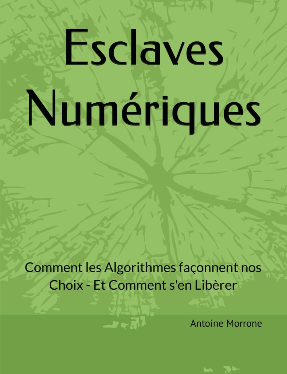 Esclaves Numériques: Comment les Algorithmes façonneny nos Choix-Et Comment s'en Libèrer