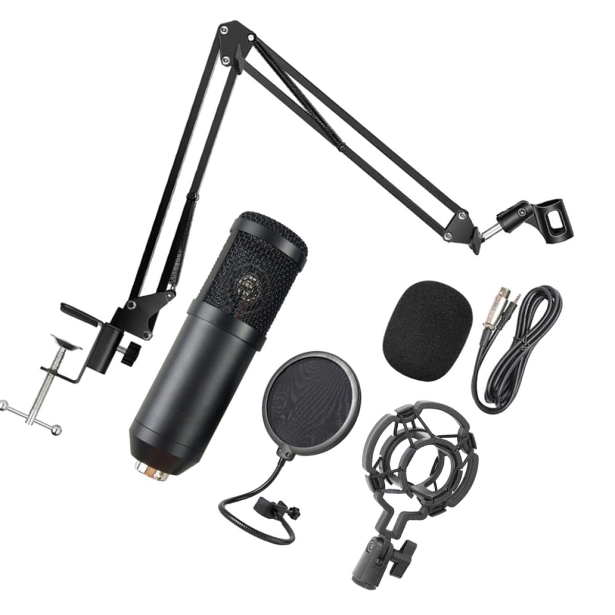 Homoyoyo Microfono a Condensatore USB per Streaming e Gaming Microfono da Gioco Cardioide Supporto Regolabile 360° e Podcast su PC e Laptop Colore Casuale