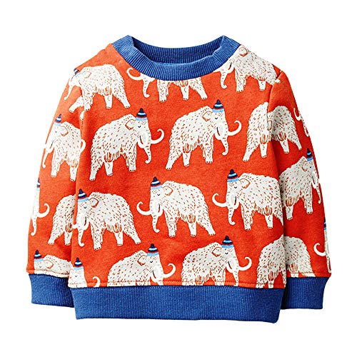 EULLA Boys Sweatshirts Elephant Pullover T-Shirts Toddler Cotton Cute Tops Tee Long Sleeve Outdoor Outfit