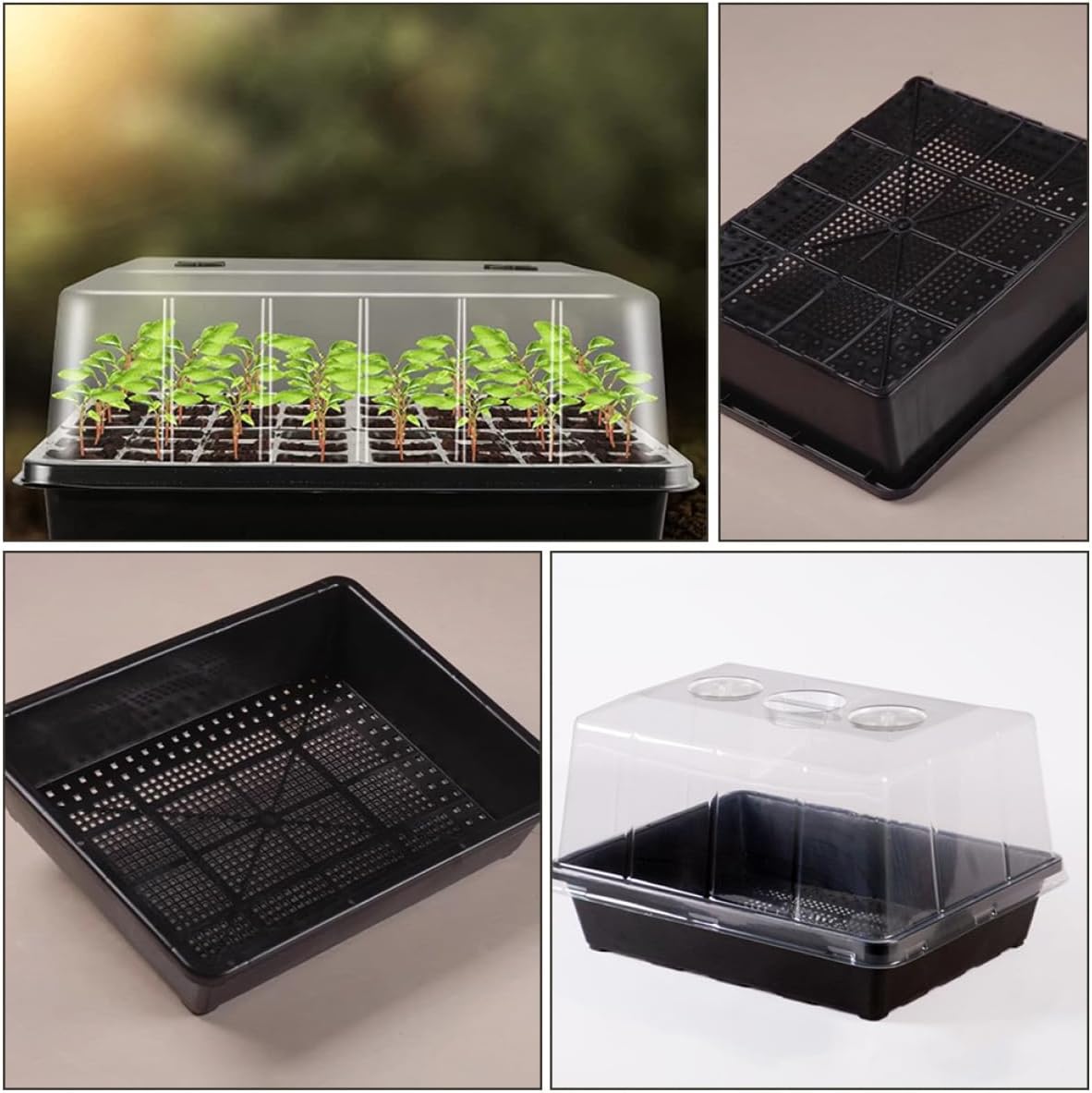 BESPORTBLE 1 Set Tray Planter Tray Plant s Nursery Nursery Supply for Seedling Plant Seedling Growing Starter Germination Plate Plastic