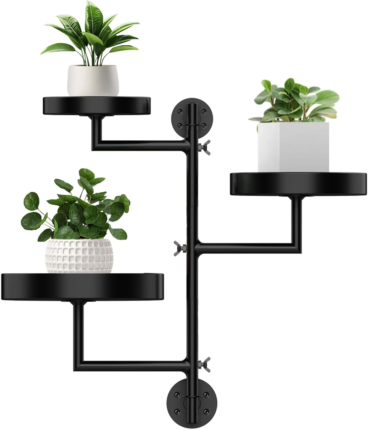 Support Mural Pour Plantes D Interieur
