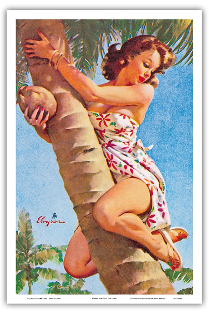 un siècle de PIN UP Amazon.com: Pick of the Crop - Up a Coconut Tree - Vintage Pin Up