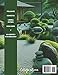 Relájate.Jardín zen: Libro de colorear adultos Imagen de Relájate.Jardín zen: Libro de colorear adultos