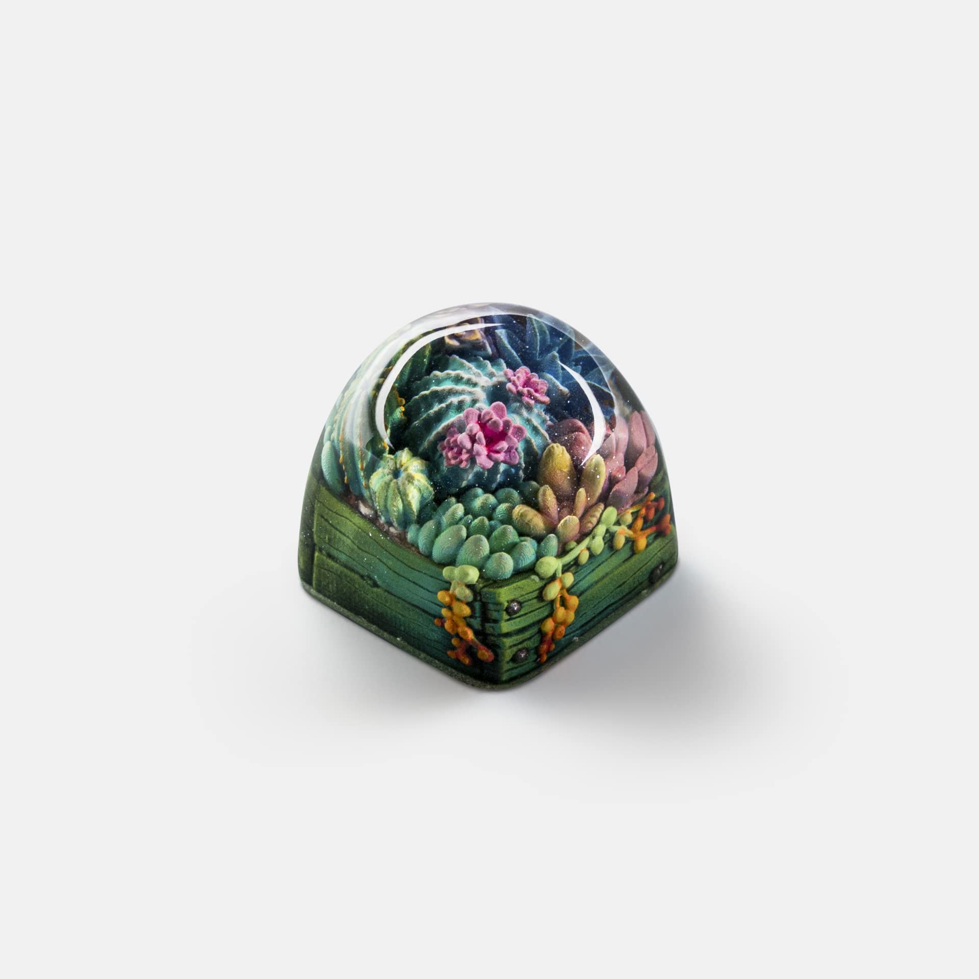 Dwarf Factory Terrarium Bayswater Artisan Custom Keycap Premium