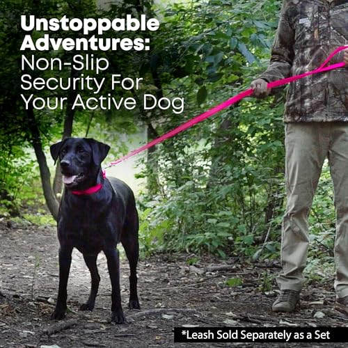 Regal Dog Products Large Pink Waterproof Dog Collar with Heavy Duty Double Buckle & D Ring | Vinyl Coated, Custom Fit, Adjustable Biothane Dog Collar | Chew Resistant Waterproof Collar for Dogs - Image 6