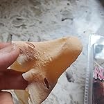 Review Image by Dirt-Fisher Dirt-Fisher