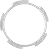 Delphi FA10008 Lock Ring