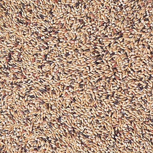 Beyers Mixtura para Canarios sin Dore Deli Nature Nº 54 20 kg