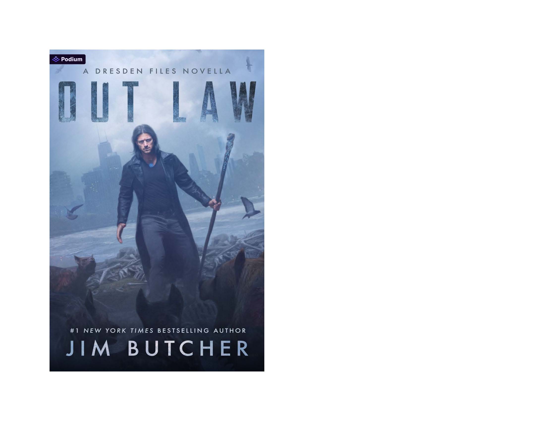 Amazon.com: Out Law: A Dresden Files Novella: 9798347030026