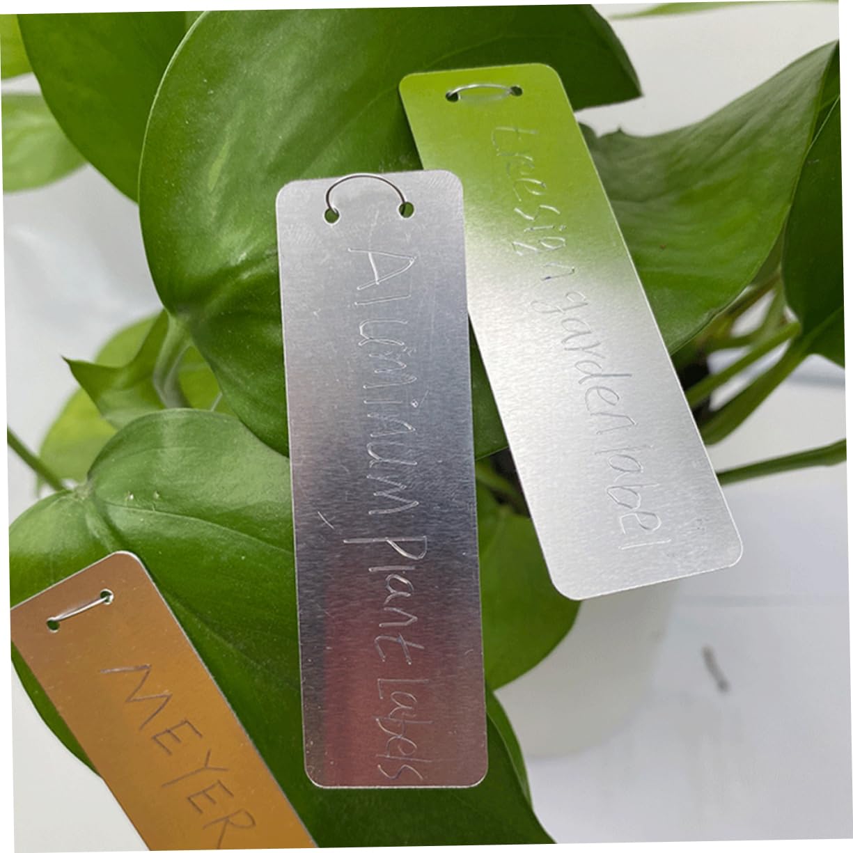 Sosoport 80pezzi Etichette Per Piante Alluminio Da Marcatori Resistenti Per Giardino e Etichette Metalliche Per Piante Durevoli e Facili Da Scrivere Per Fiori e Alberi