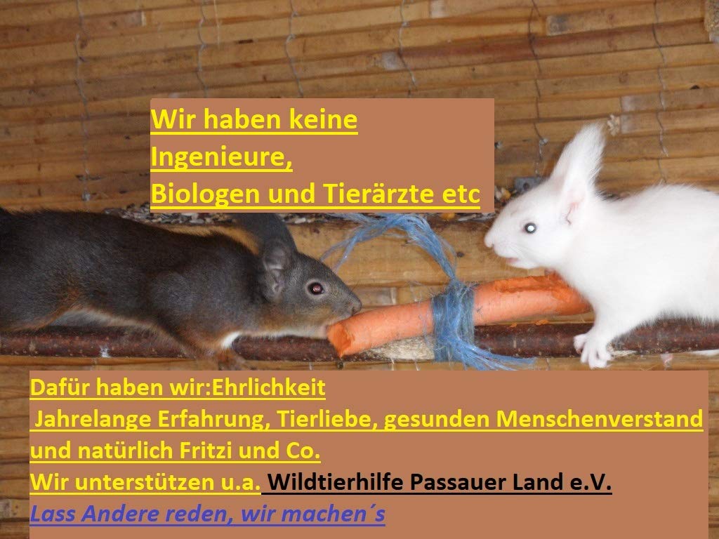 Eichhörnchenfutterhaus LÄRCHENHOLZ WITTERUNGSBESTÄNDIG WETTERFEST von Hand gefertigt Bayerischer Wald