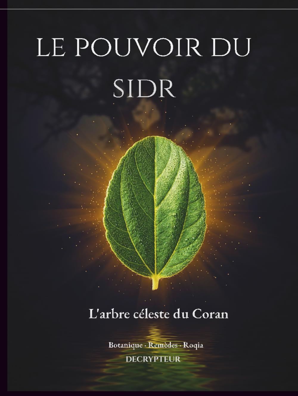 LE POUVOIR DU SIDR: L'arbre celeste du coran