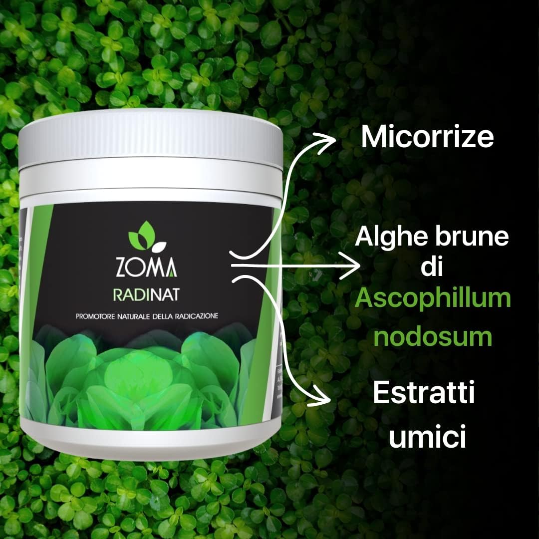 ZOMA RADINAT 100% naturalny proszek do ukorzeniania sadzonek, proszek ukorzeniający z grzybami rozwijającymi się i kiełkującymi, biostymulator korzeni