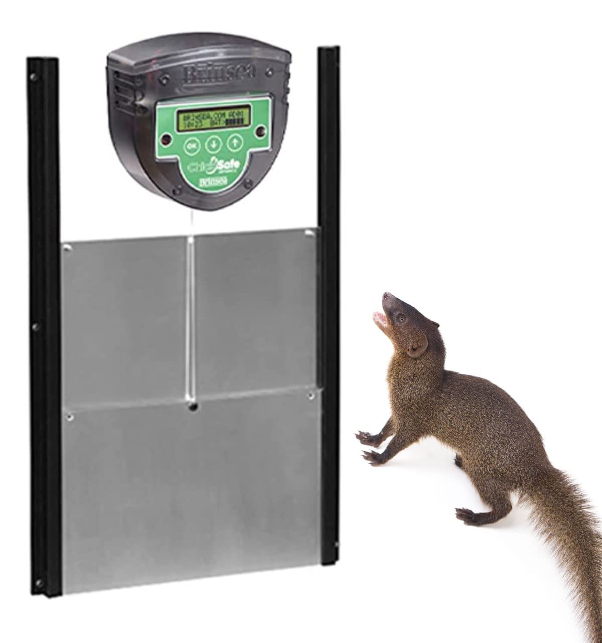 Kit Puerta automática de gallinero - Motor Brinsea Chicksafe Advance + Puerta de Aluminio - Programación por Reloj o por célula fotoeléctrica (Ref. BCSAP)