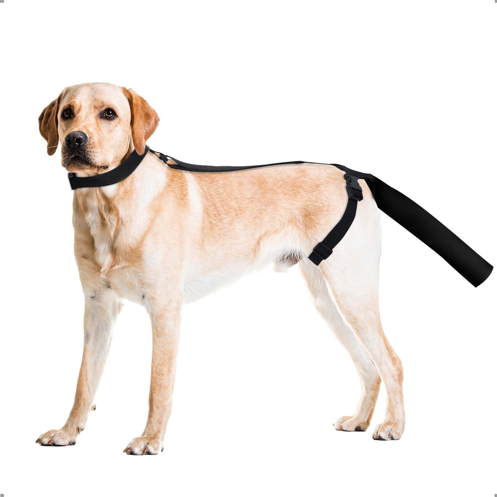 Photo 1 of OHCOZZY Adjustable Dog Tail Protector for Wounds, Tail Cover Recovery Sleeve for Medium and Large Dogs, Anti Licking(L,Black)