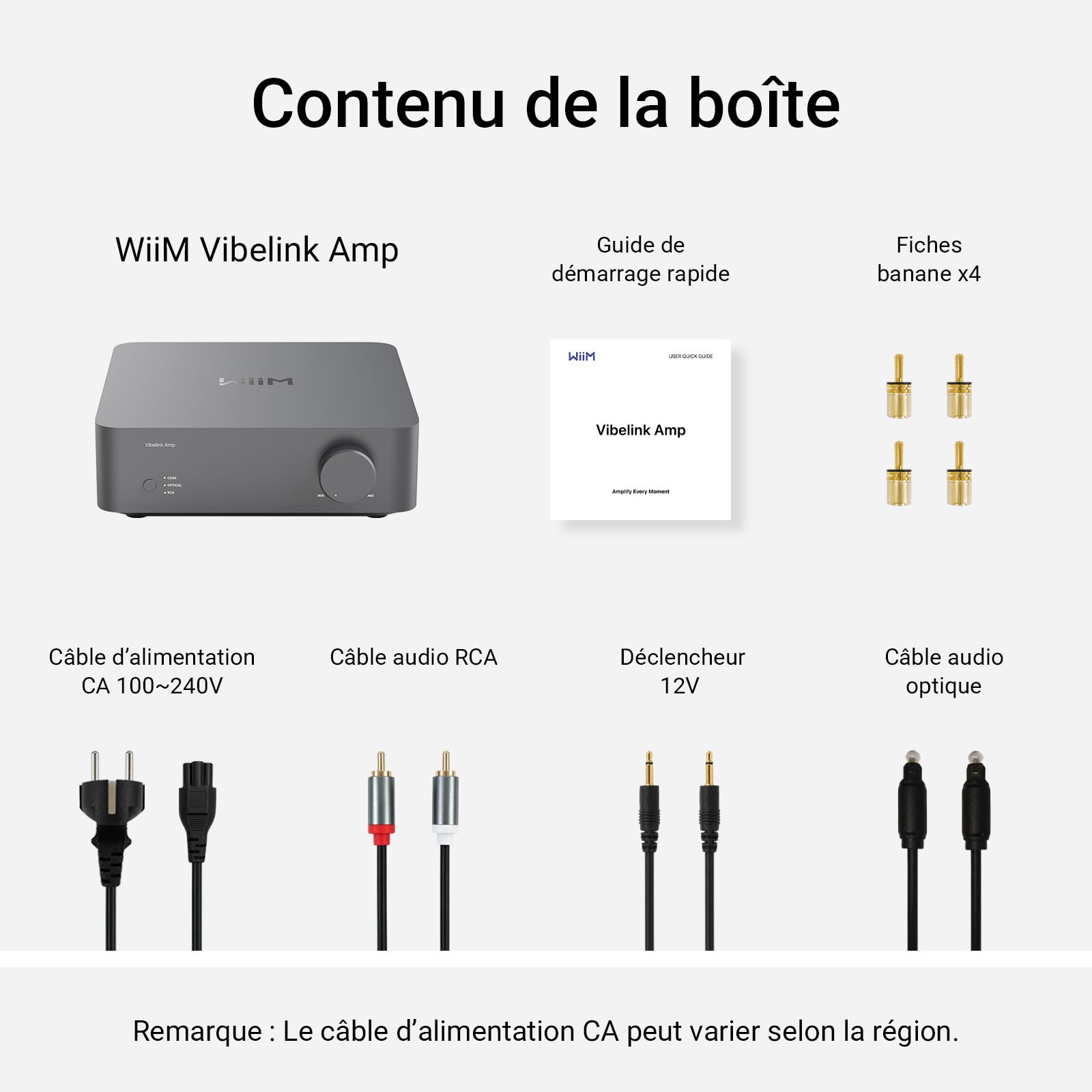 WiiM Vibelink Amp | Amplificateur de Puissance 100W avec DAC ESS 9039Q2M Haut de Gamme et TI TPA3255 | Compatible avec WiiM Mini, Pro, Pro Plus et Ultra | Entrées RCA, Coax et Optique | Gris Espace