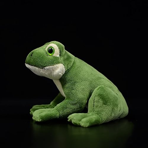 Miniatura 4 de ZHONGXIN MADE Simulation Frog Plush Toy - 6.3" Lifelike Green Frog Stuffed Animals Reptilian Plushie Toys, Super Soft Plush Dolls for Kids Stuffed