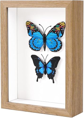 Shadow Box - Marco de fotos de 6 x 8 pulgadas con plexiglás HD de madera profunda, caja de memoria para flores, boletos, recuerdos, medallas, arte y