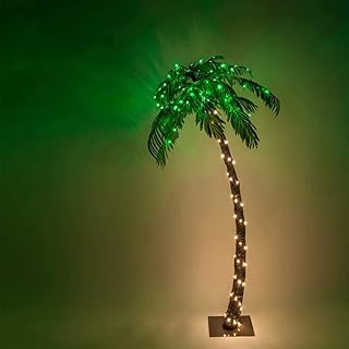 Amazon Com Palm Tree