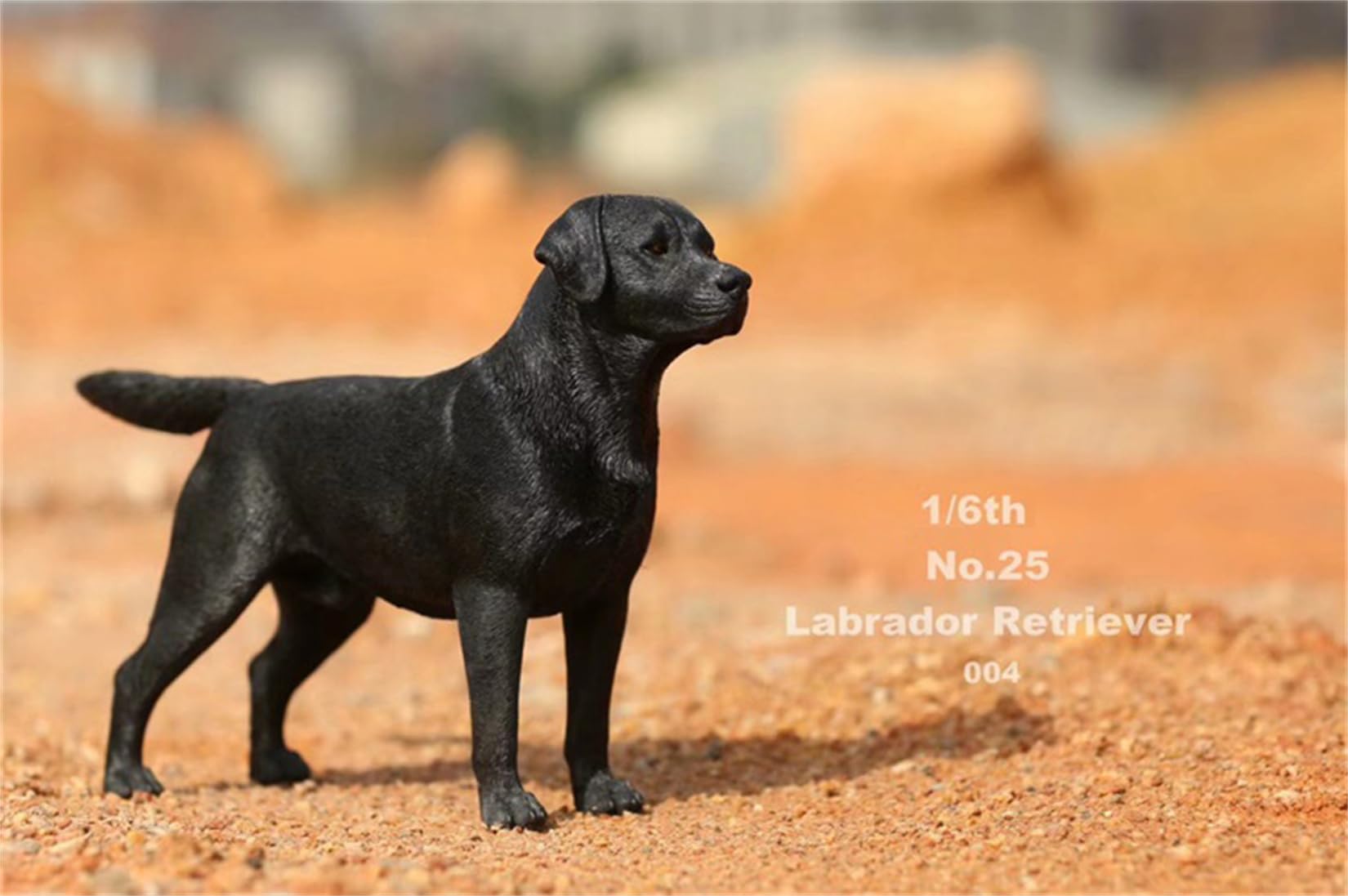 Amazon.co.jp: 1/6 サイズ ラブラドール・レトリバー 可愛い 犬 動物