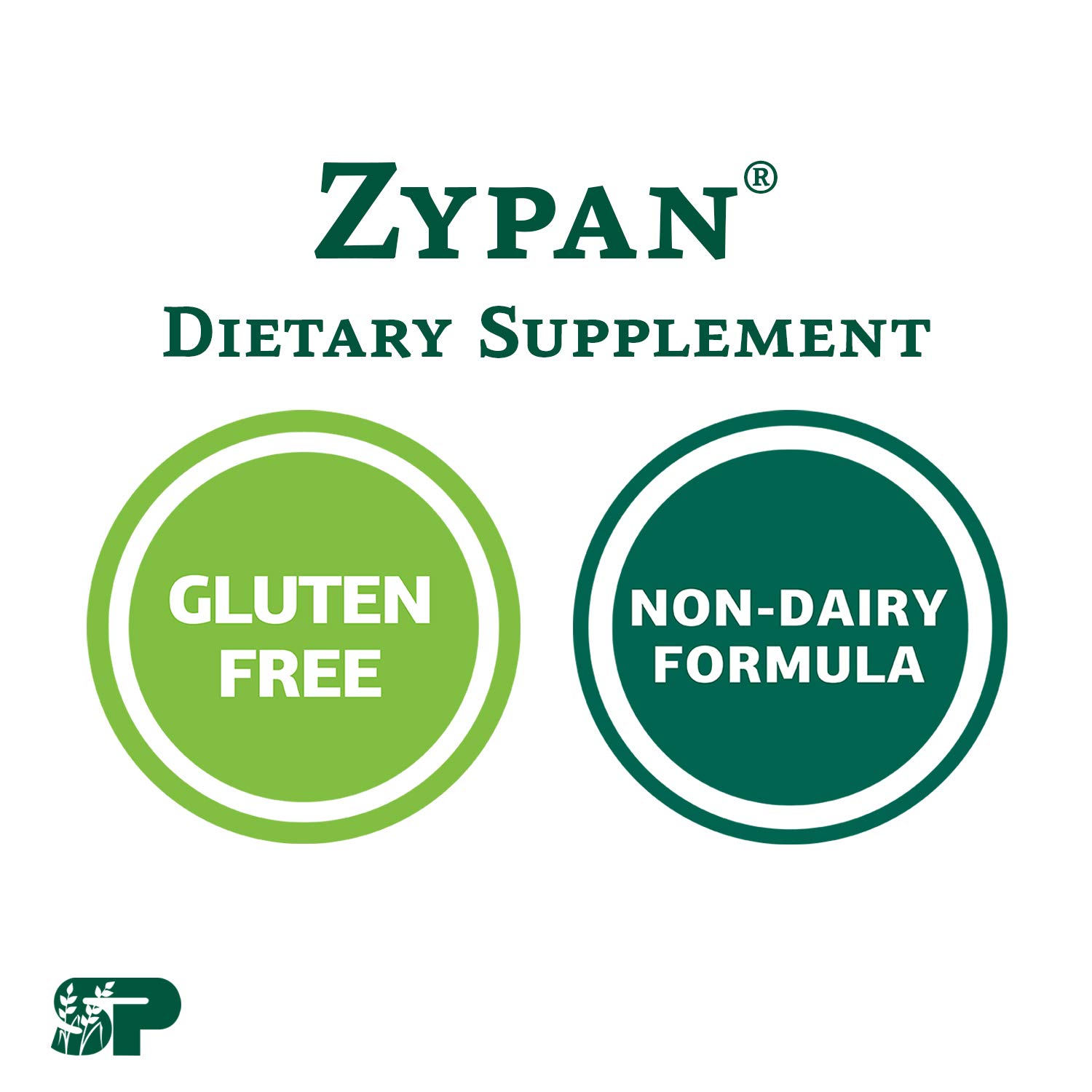 Standard Process Zypan Whole Food Digestion and Digestive Health with